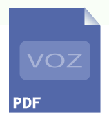 Soluciones Voz